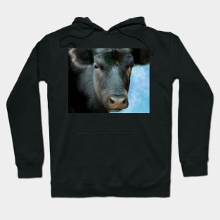 Black Cow On Blue animal art cows Hoodie